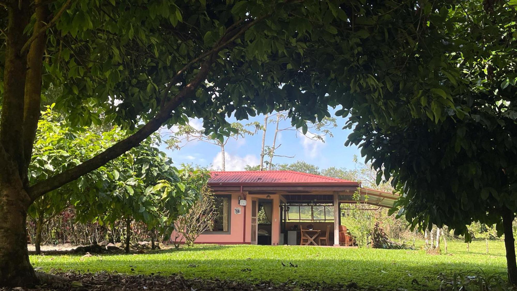 Mei Tai Cacao Lodge Bijagua Exterior foto