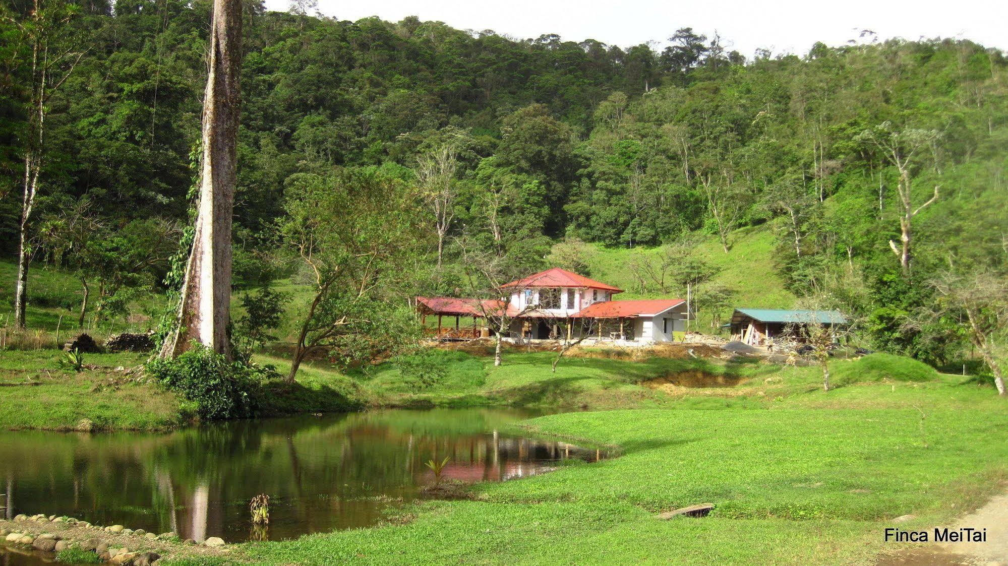 Mei Tai Cacao Lodge Bijagua Exterior foto