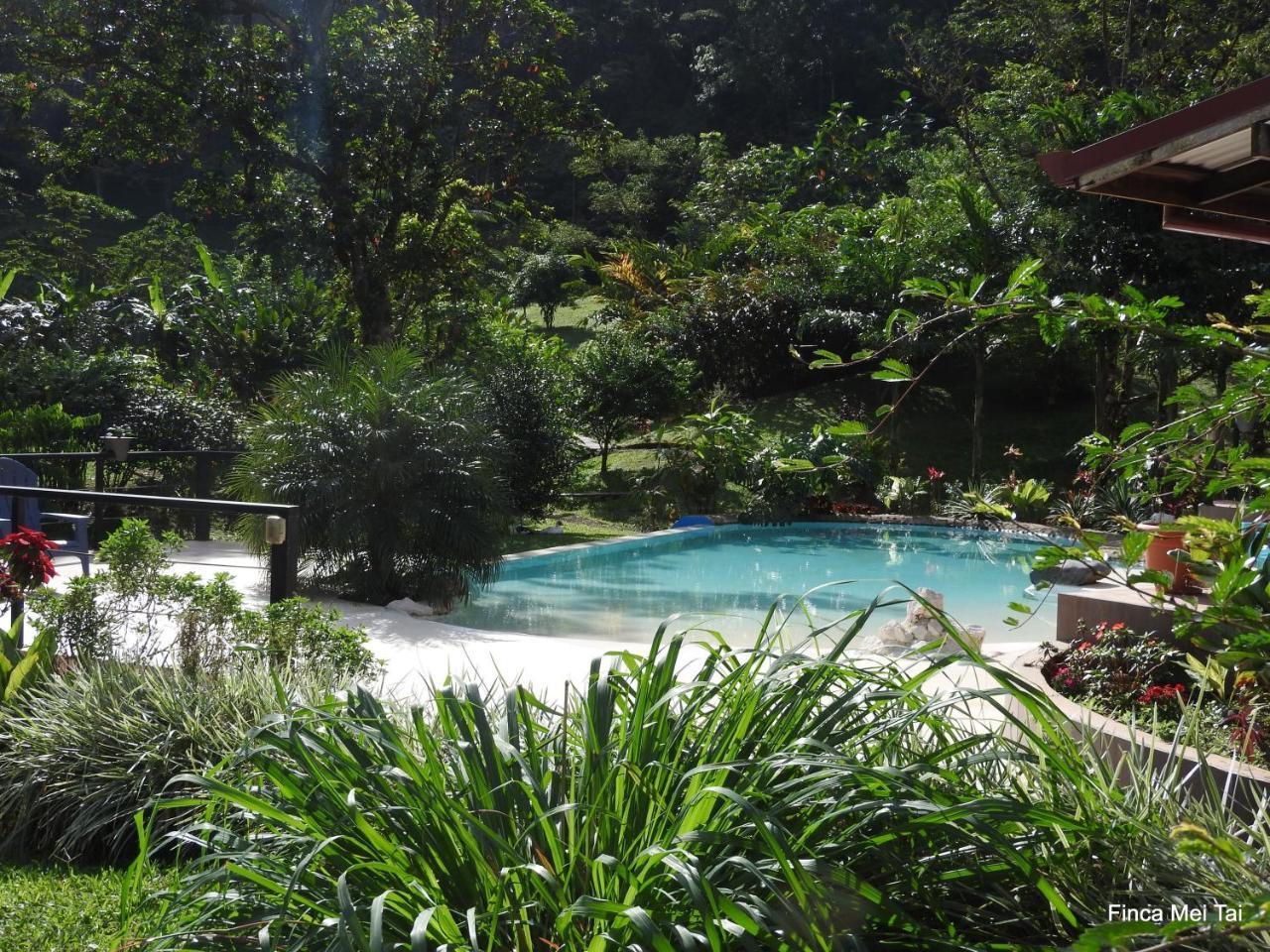 Mei Tai Cacao Lodge Bijagua Exterior foto